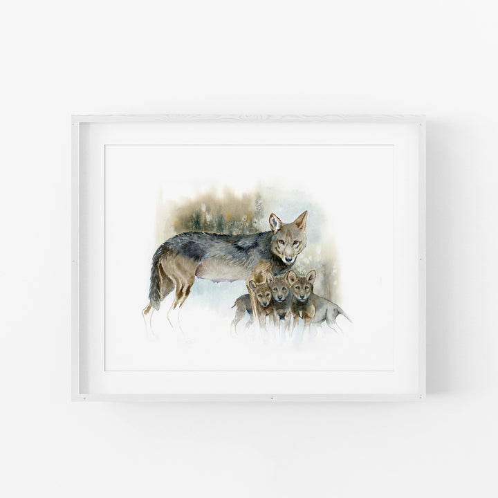 Red wolf watercolor print in a white wood frame with a mat

