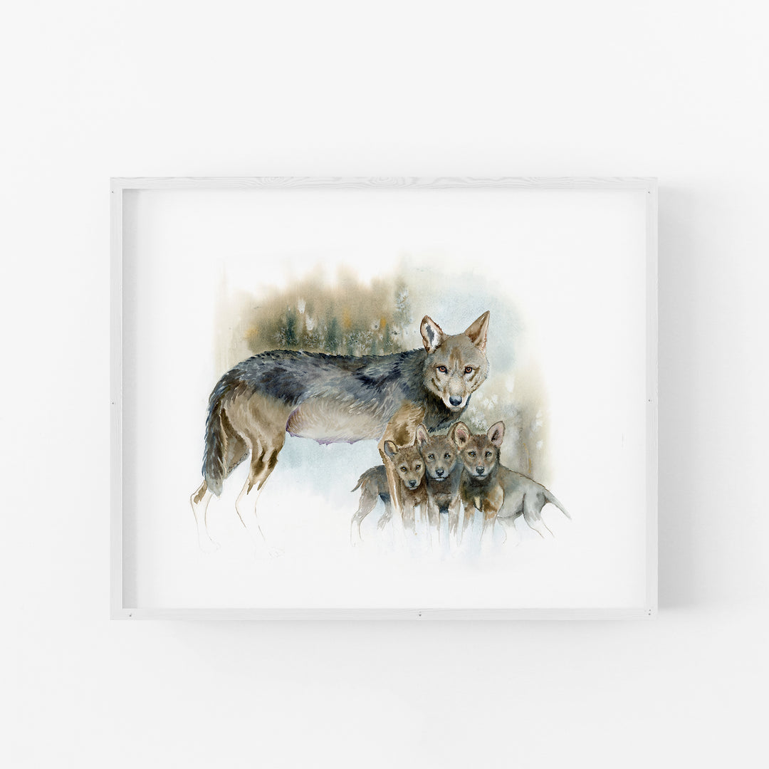 Red wolf watercolor print in a white wood frame 
