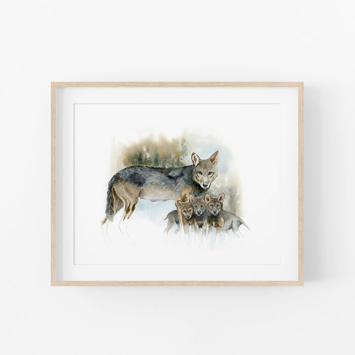 Red wolf watercolor print in an light wood frame with a mat
