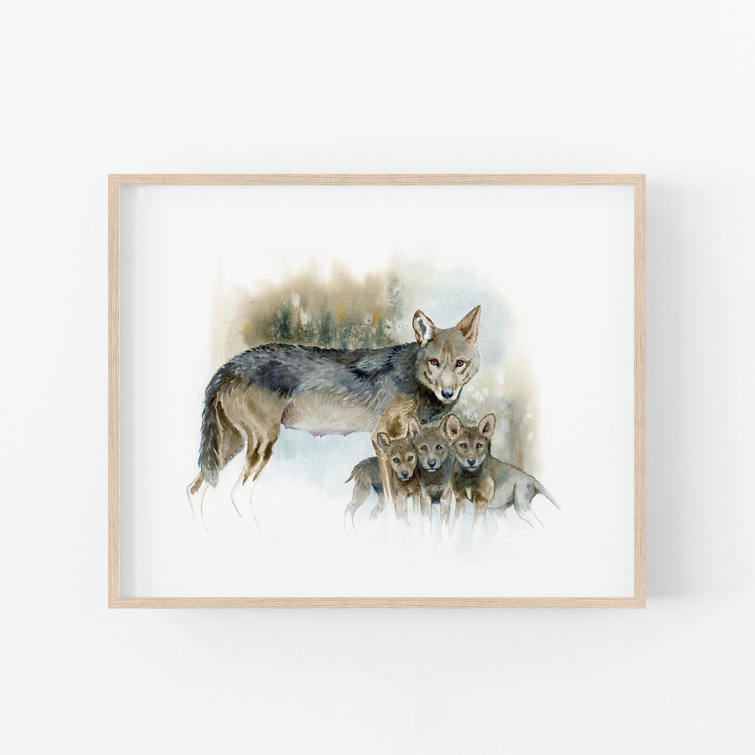 Red wolf watercolor print in an light wood frame 