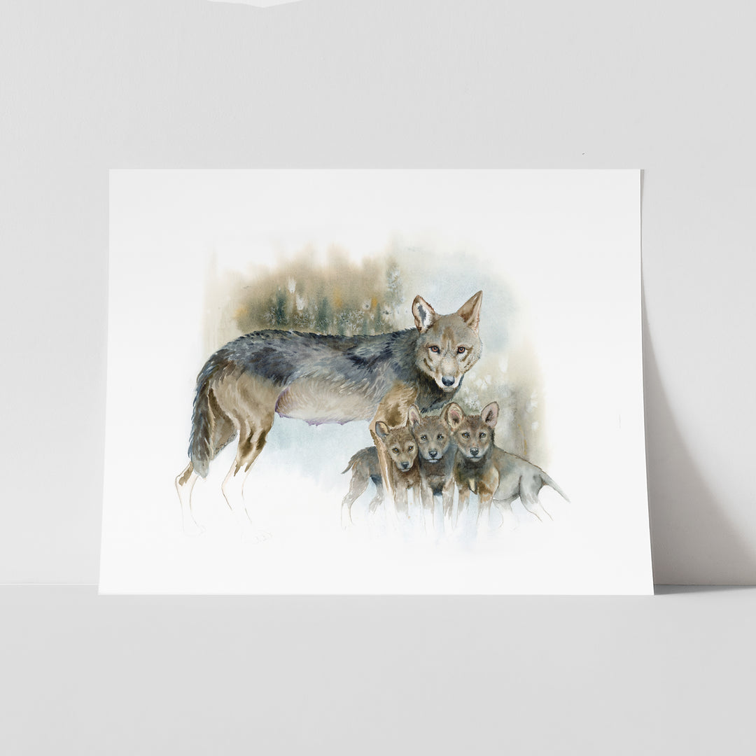 Red wolf watercolor paper print