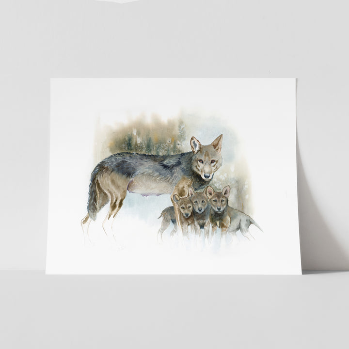 Red wolf watercolor paper print