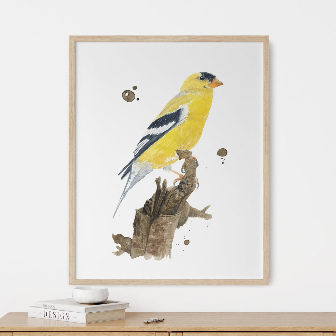 a yellow bird sitting on top of a tree branch