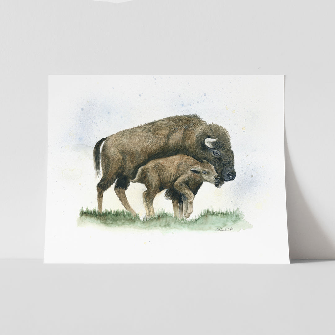 "Nuzzle on the Plain" Bison Art Print