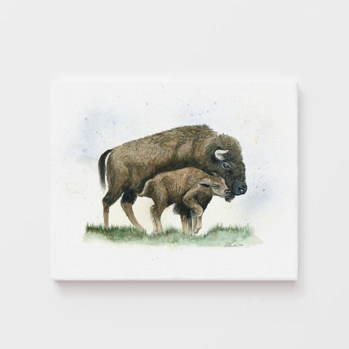 "Nuzzle on the Plain" Bison Art Print