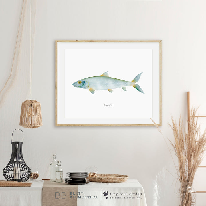 Bonefish Illustration