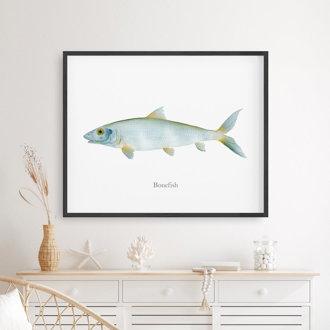 Grätenfisch Aquarell