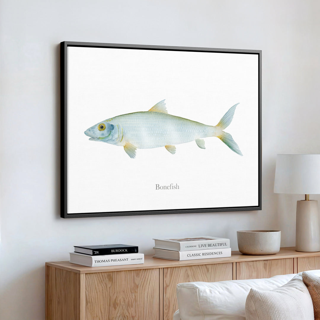 Grätenfisch Aquarell