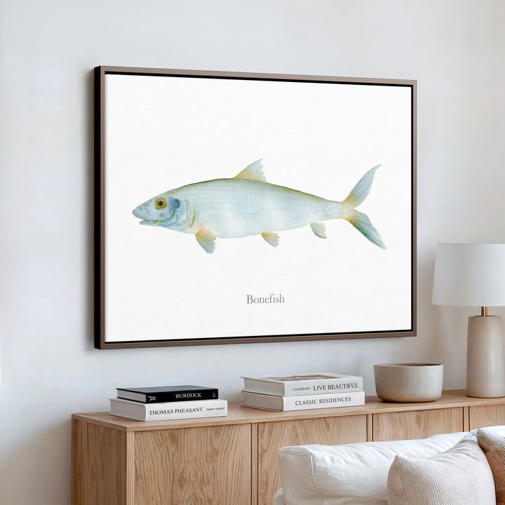 Grätenfisch Aquarell