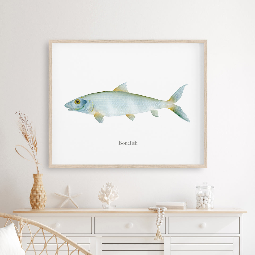 Grätenfisch Aquarell