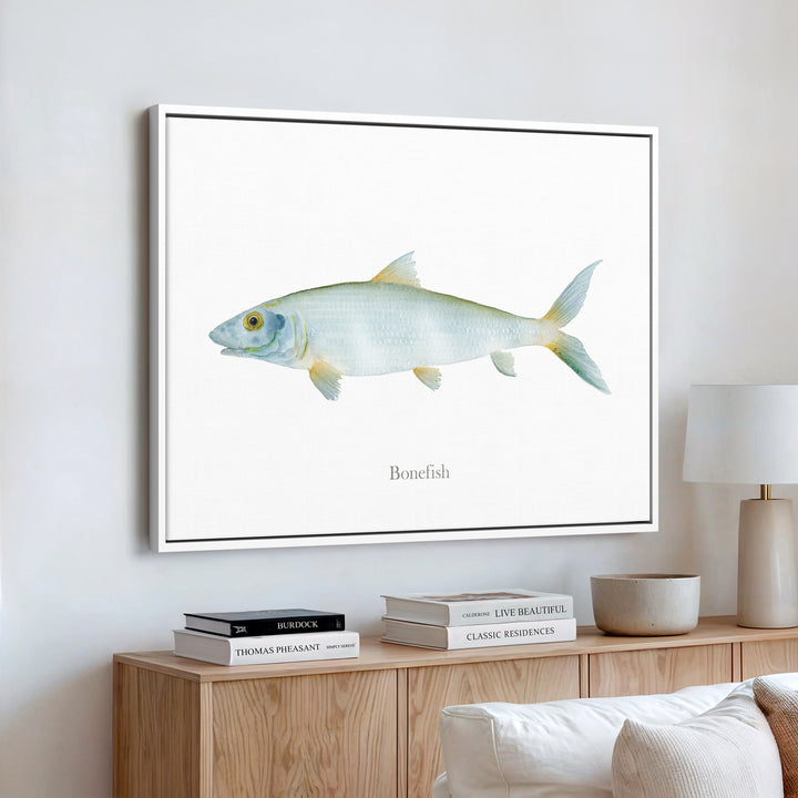 Grätenfisch Aquarell