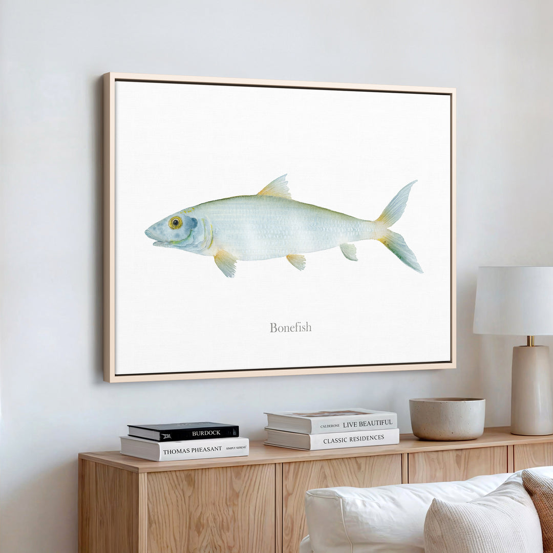 Grätenfisch Aquarell