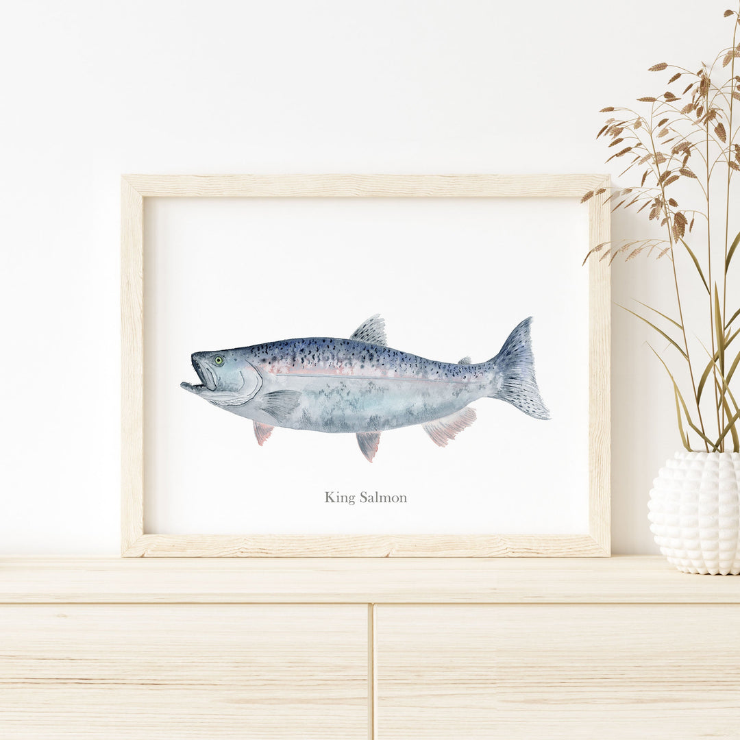 a picture of a King Salmon on a shelf