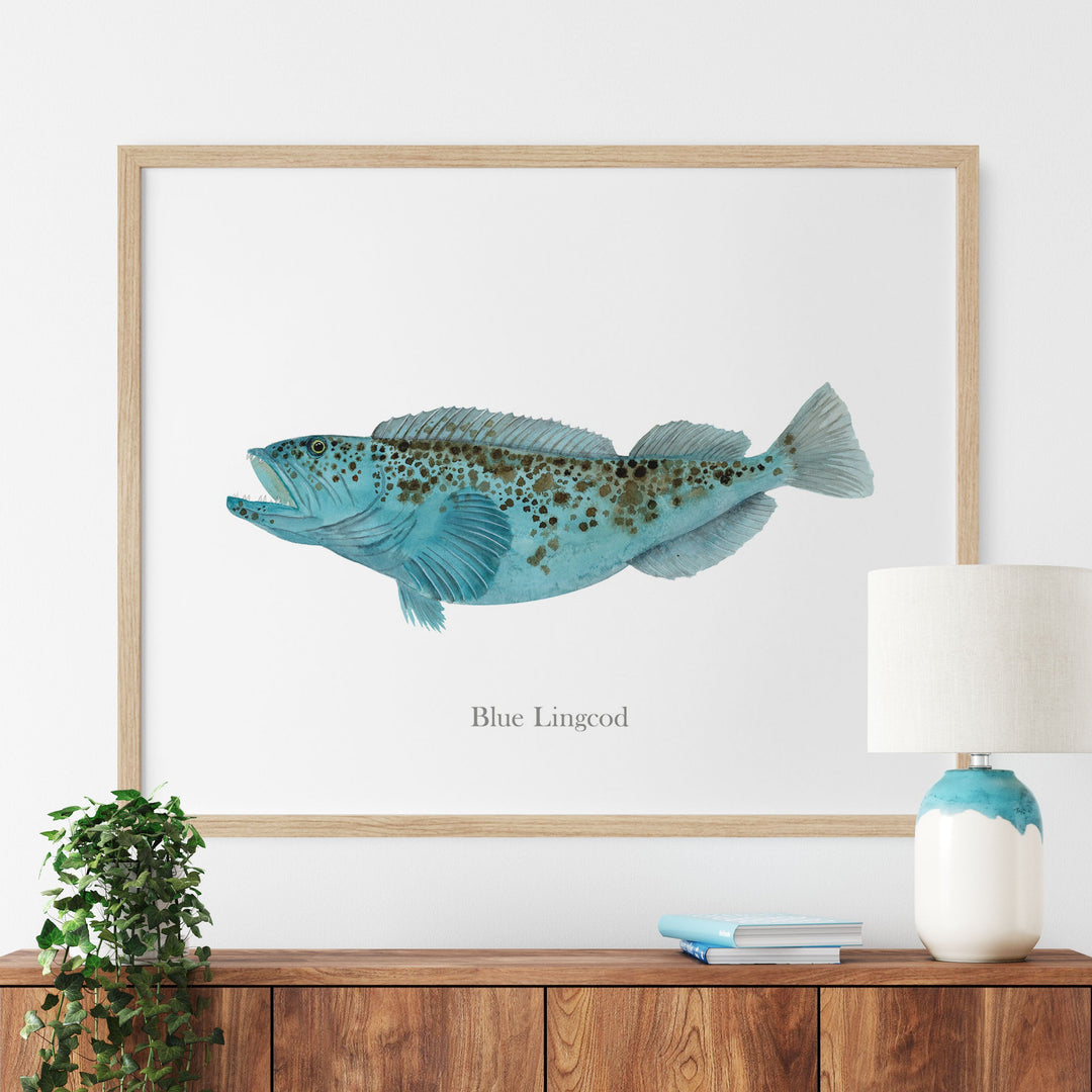 a picture of a blue lingcod on a wall above a dresser