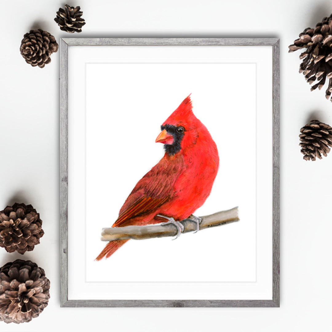 Red Cardinal Print