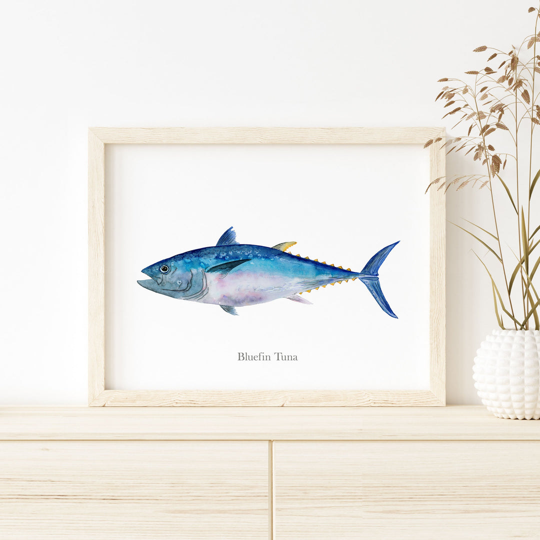 a picture of a bluefin tuna on a white wall