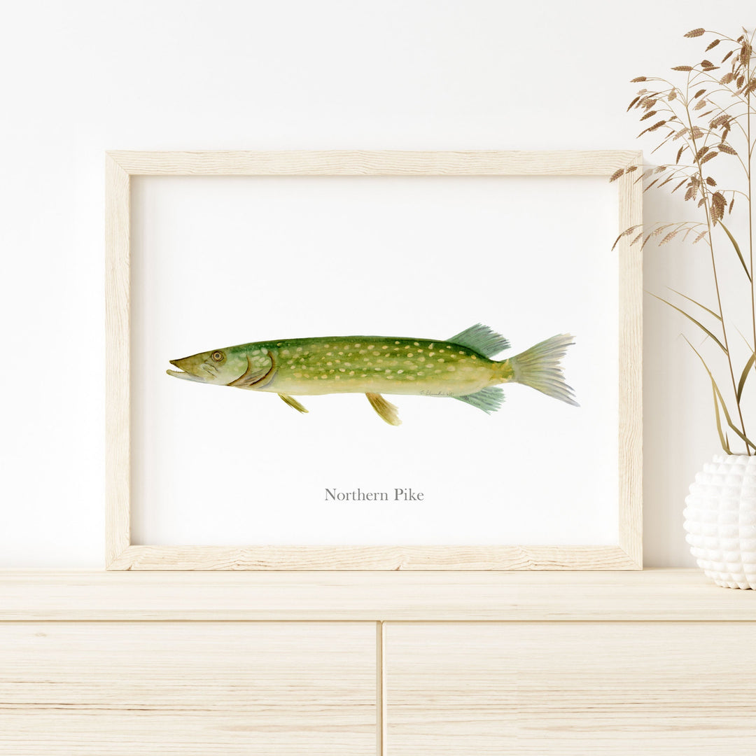 a picture of a northern pike in a frame on a dresser