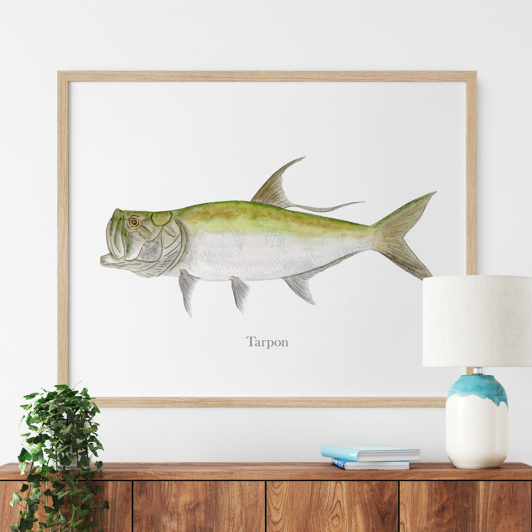 a picture of a tarpon hanging on a wall