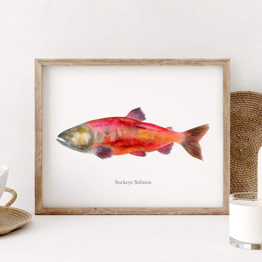 a picture of a fish in a wooden frame