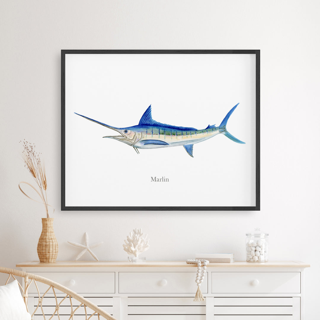 Marlin Aquarelle