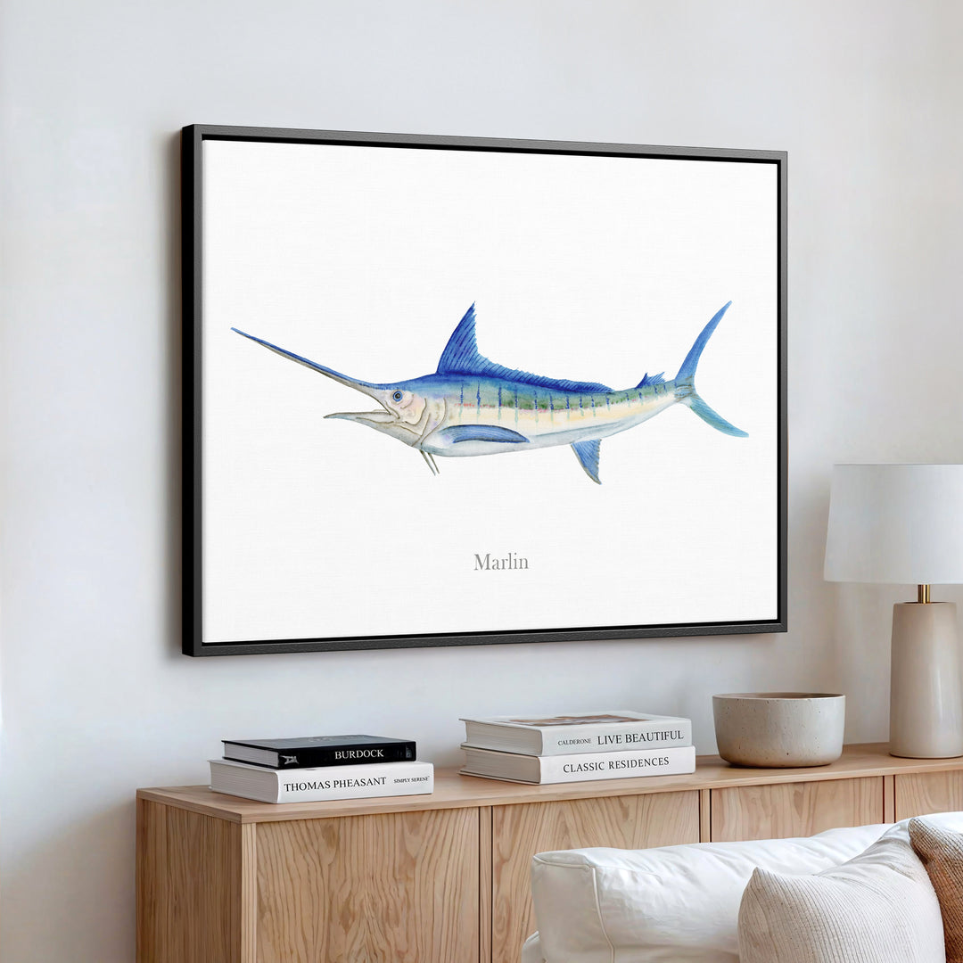 Marlin Aquarelle