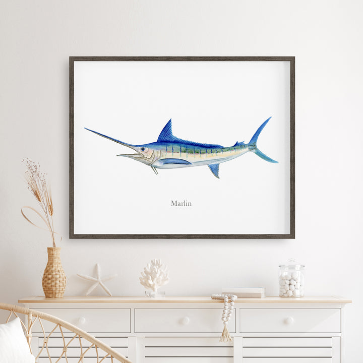 Marlin Aquarelle