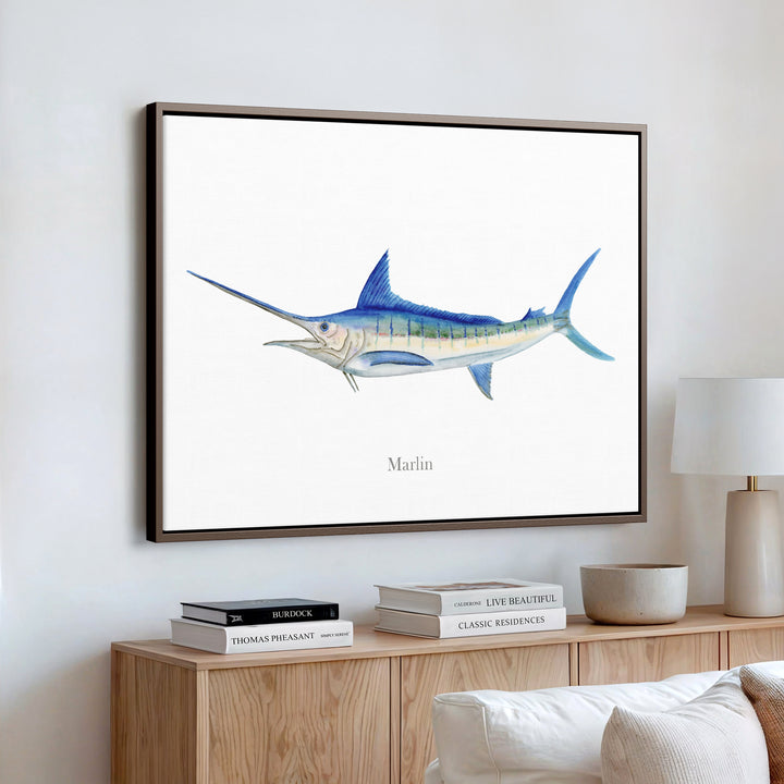 Marlin Aquarelle