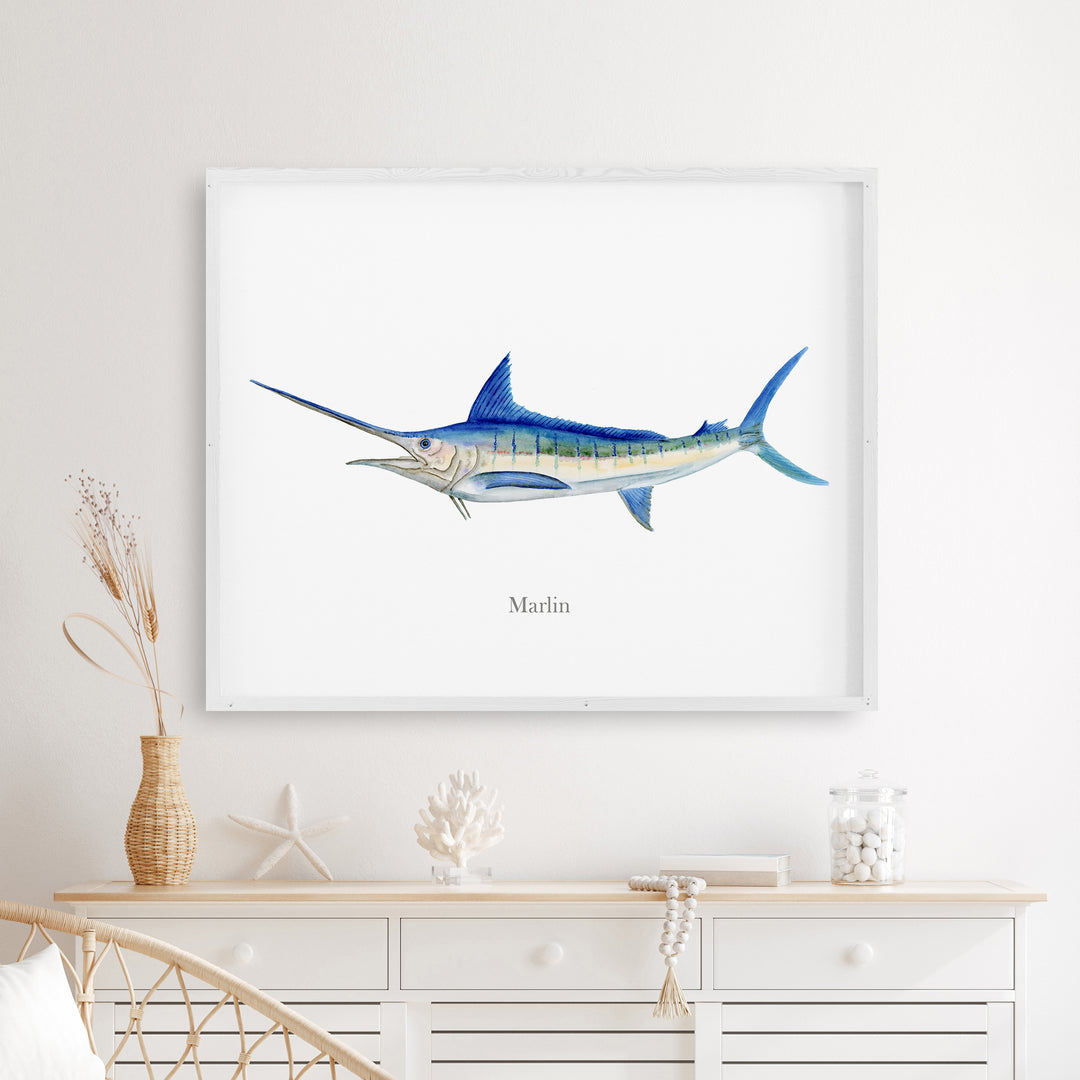 Marlin Aquarelle