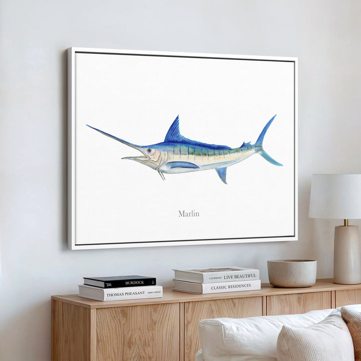 Marlin Aquarelle