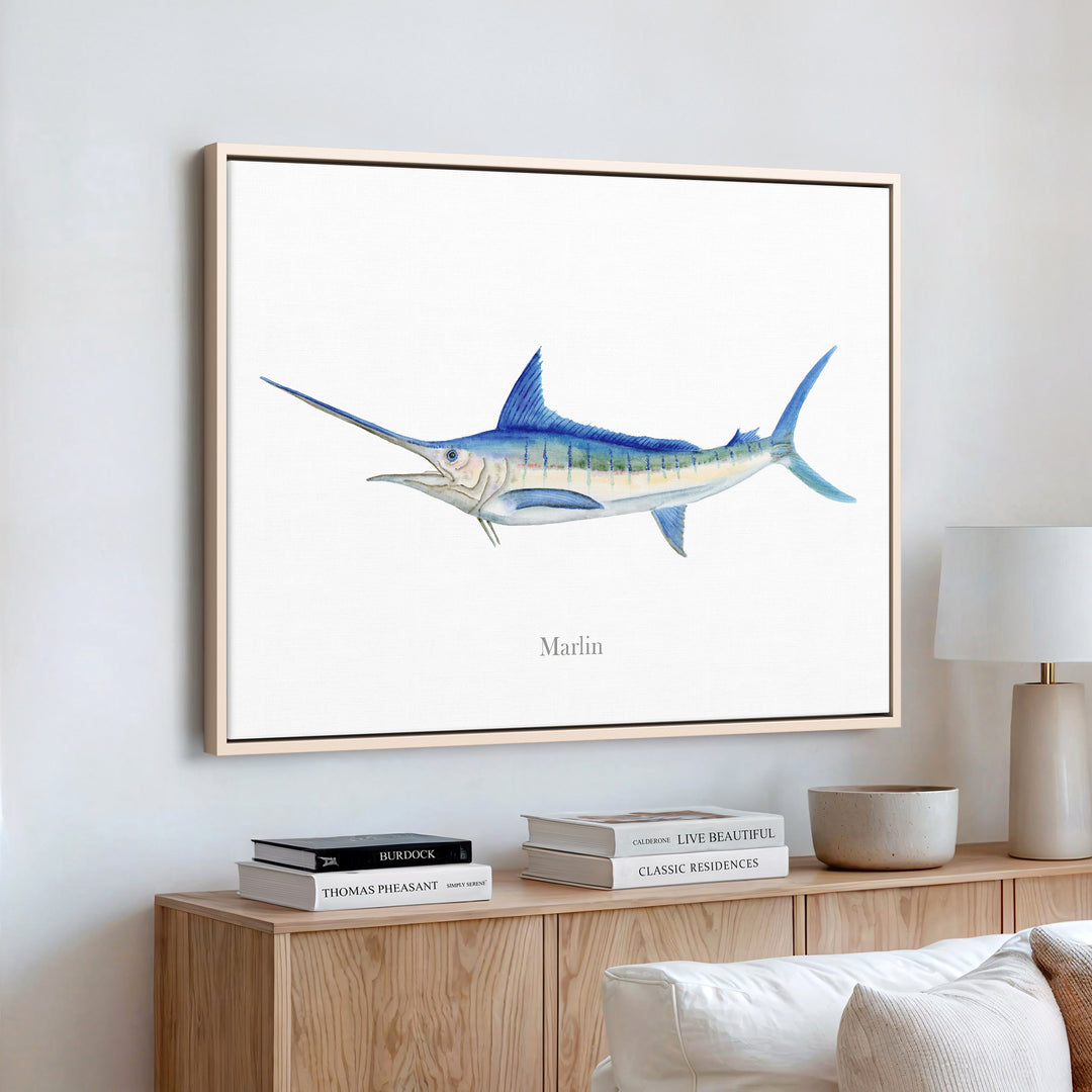 Marlin Aquarelle