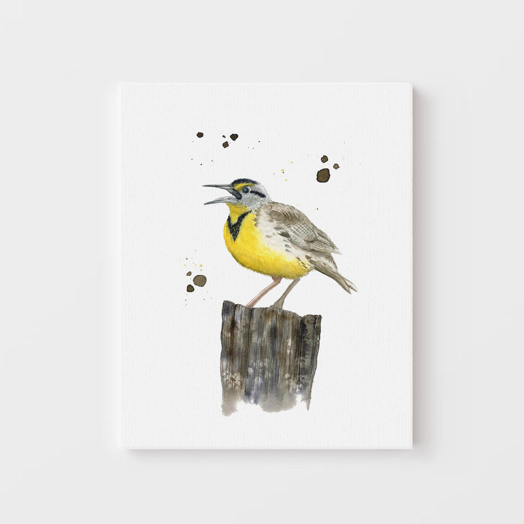 Western Meadowlark Art