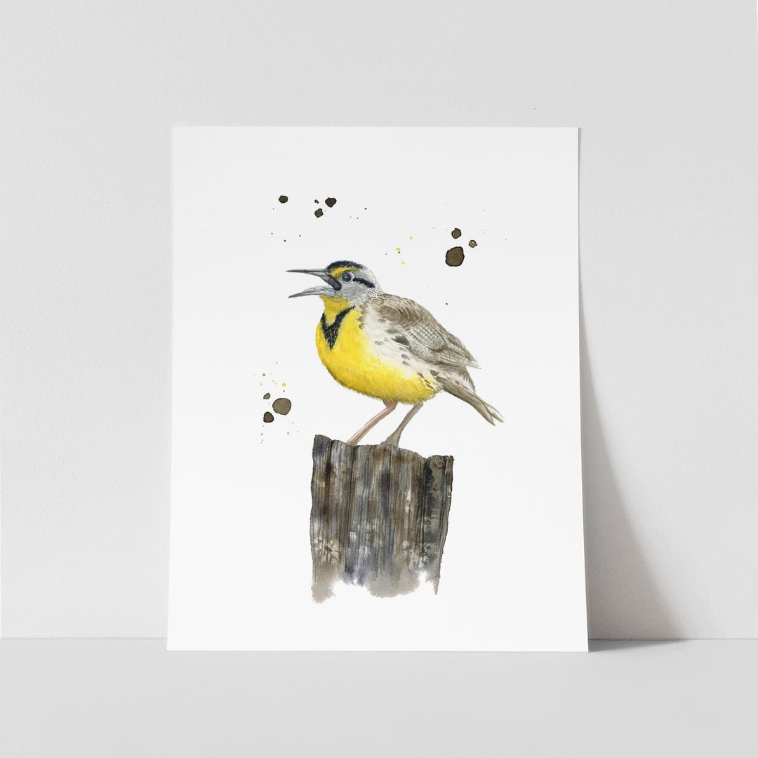 Western Meadowlark Art