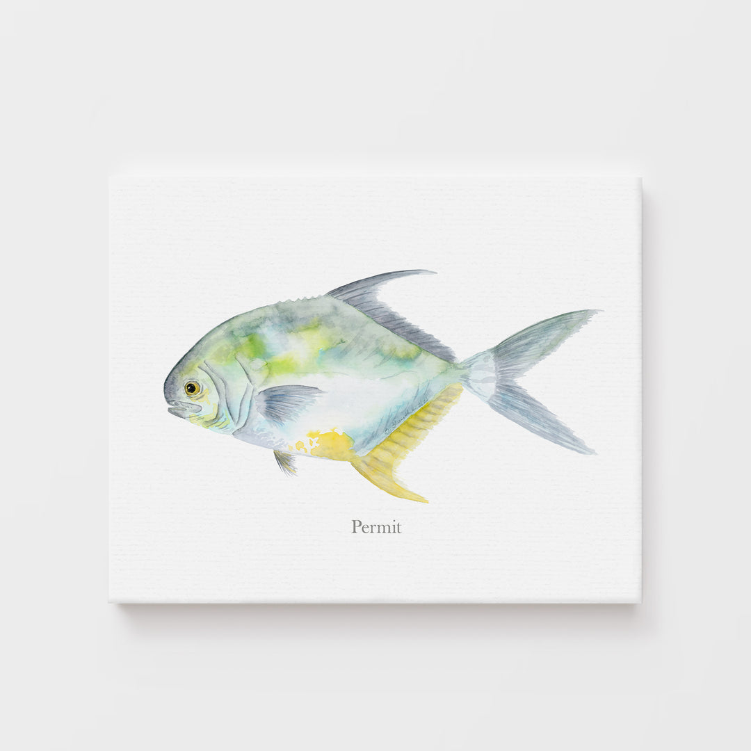 Aquarell-Montierung „Permit Fish“