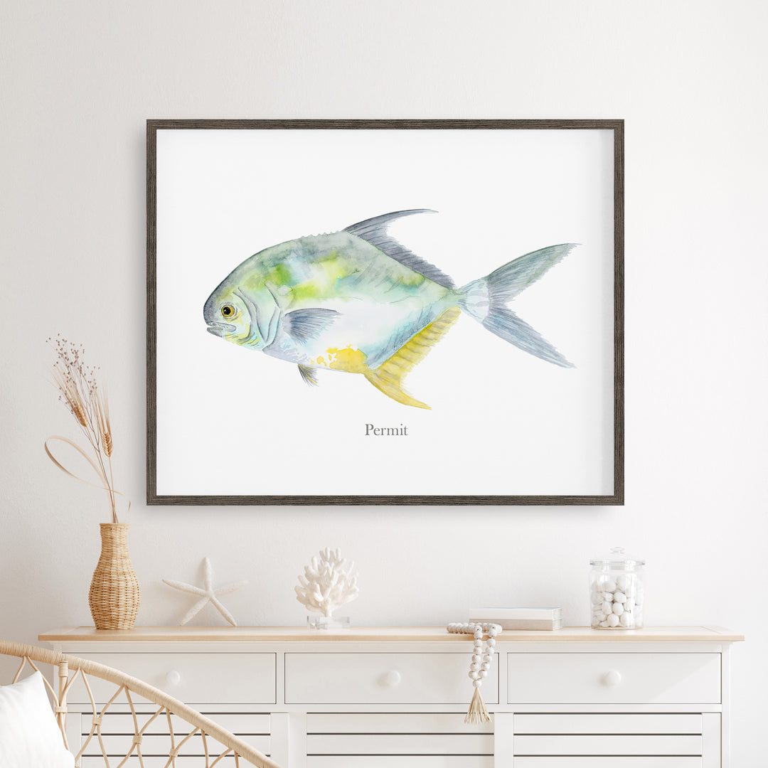 Aquarell-Montierung „Permit Fish“