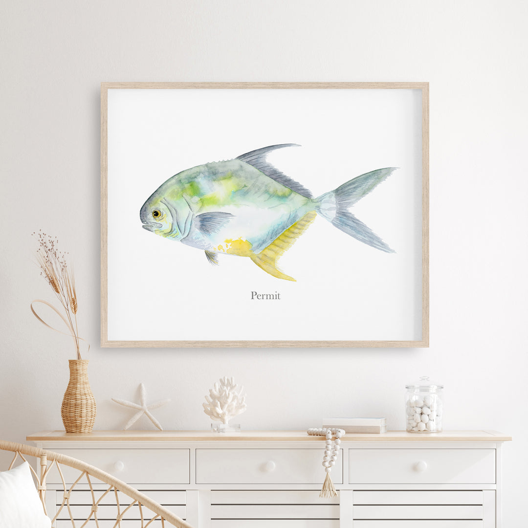 Aquarell-Montierung „Permit Fish“