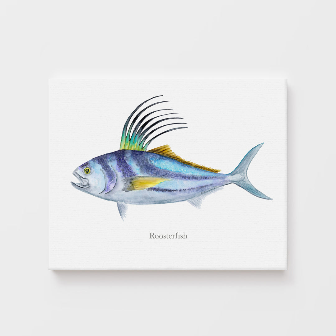 Hahnenfisch Aquarell