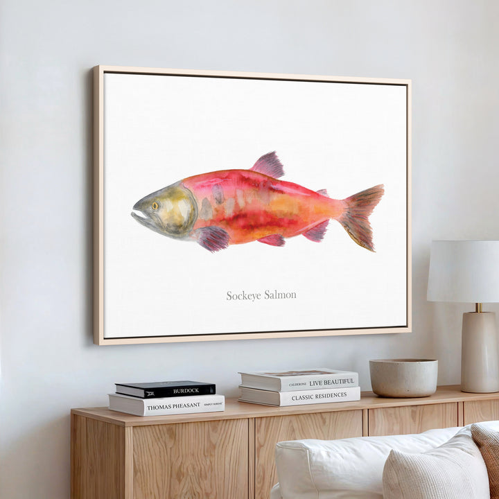 Saumon Sockeye à l'aquarelle