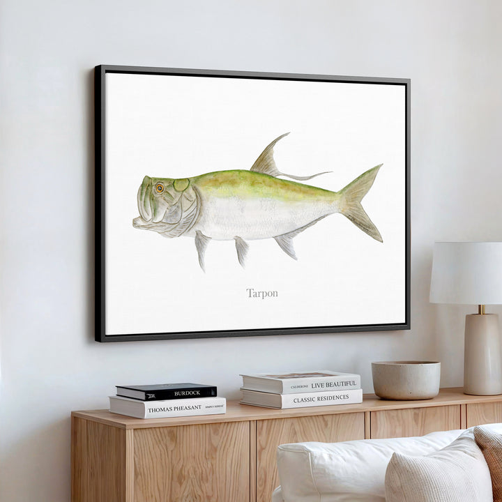 Tarpon Illustration